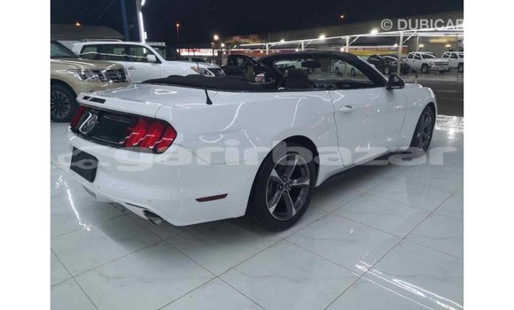 Buy Import 2015 Ford Mustang in Import - Dubai, Bandarban Buy Import 2015 Ford Mustang in Import - Dubai, Bandarban