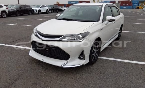 Buy Used 2019 Toyota corolla in Dhaka, Dhaka Buy Used 2019 Toyota corolla in Dhaka, Dhaka