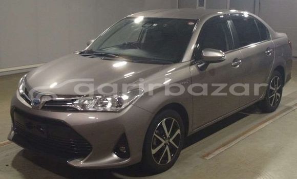 কেনা ব্যবহৃত Toyota axio g Brown গাড়ী মধ্যে ঢাকা মধ্যে Dhaka কেনা ব্যবহৃত Toyota axio g Brown গাড়ী মধ্যে ঢাকা মধ্যে Dhaka