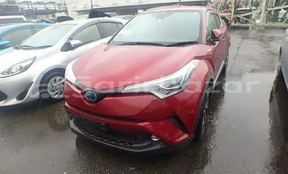 কেনা ব্যবহৃত Toyota chr g led pkg Red wine গাড়ী মধ্যে ঢাকা মধ্যে Dhaka কেনা ব্যবহৃত Toyota chr g led pkg Red wine গাড়ী মধ্যে ঢাকা মধ্যে Dhaka