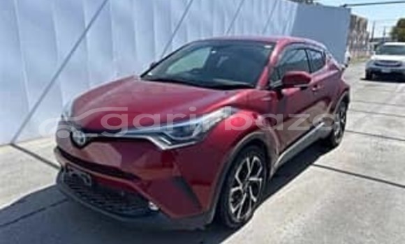 কেনা ব্যবহৃত Toyota chr g led pkg Red wine গাড়ী মধ্যে ঢাকা মধ্যে Dhaka কেনা ব্যবহৃত Toyota chr g led pkg Red wine গাড়ী মধ্যে ঢাকা মধ্যে Dhaka