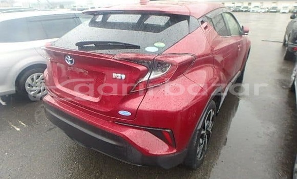 কেনা ব্যবহৃত Toyota chr g led pkg Red wine গাড়ী মধ্যে ঢাকা মধ্যে Dhaka কেনা ব্যবহৃত Toyota chr g led pkg Red wine গাড়ী মধ্যে ঢাকা মধ্যে Dhaka