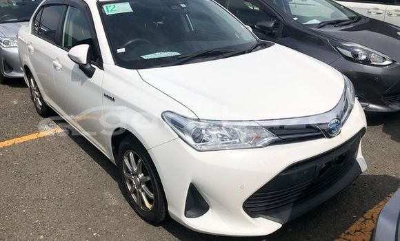Buy Used 2019 Toyota axio x in Dhaka, Dhaka Buy Used 2019 Toyota axio x in Dhaka, Dhaka