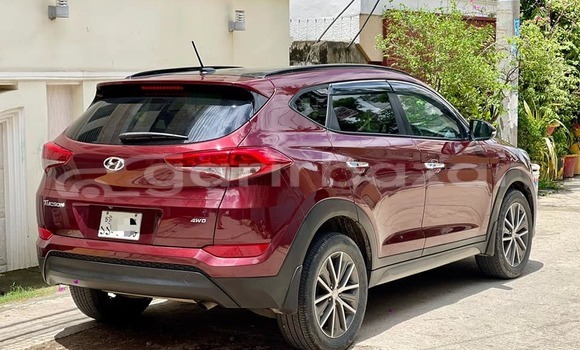 কেনা ব্যবহৃত Hyundai Tucson Red wine গাড়ী মধ্যে চট্টগ্রাম মধ্যে Chittagong কেনা ব্যবহৃত Hyundai Tucson Red wine গাড়ী মধ্যে চট্টগ্রাম মধ্যে Chittagong