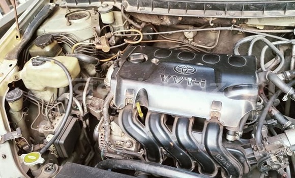 কেনা ব্যবহৃত Toyota Premio Silver গাড়ী মধ্যে চট্টগ্রাম মধ্যে Chittagong কেনা ব্যবহৃত Toyota Premio Silver গাড়ী মধ্যে চট্টগ্রাম মধ্যে Chittagong