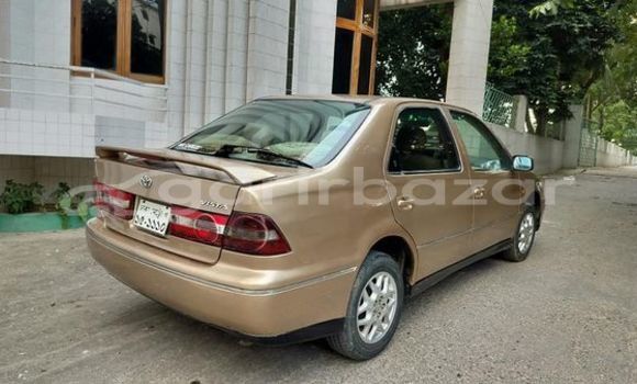 Buy Used 1998 Toyota Vista in Dhaka, Dhaka Buy Used 1998 Toyota Vista in Dhaka, Dhaka