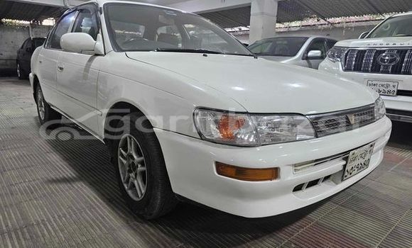 Buy Used 1995 Toyota Corolla in Dhaka, Dhaka Buy Used 1995 Toyota Corolla in Dhaka, Dhaka