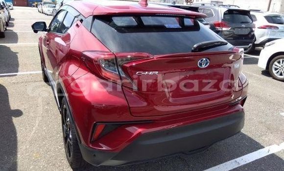 Buy Used 2019 Toyota chr g-led package in Dhaka, Dhaka Buy Used 2019 Toyota chr g-led package in Dhaka, Dhaka