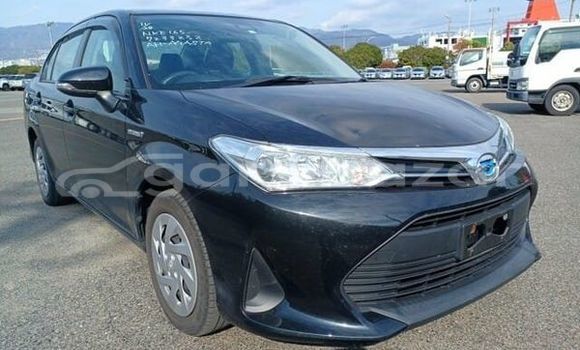 কেনা ব্যবহৃত Toyota axio ex Black গাড়ী মধ্যে ঢাকা মধ্যে Dhaka কেনা ব্যবহৃত Toyota axio ex Black গাড়ী মধ্যে ঢাকা মধ্যে Dhaka