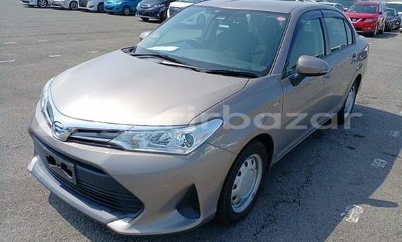 Buy Used 2019 Toyota axio x in Dhaka, Dhaka Buy Used 2019 Toyota axio x in Dhaka, Dhaka