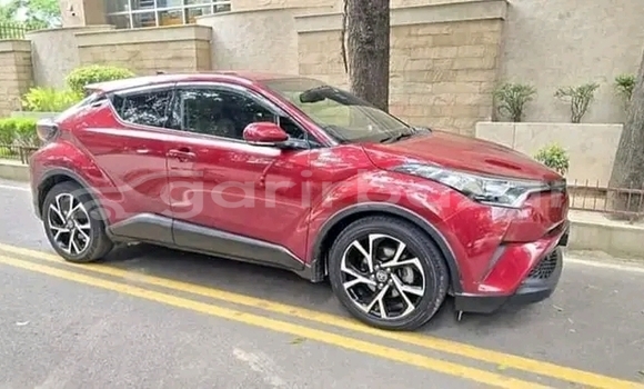 Buy Used Toyota C-HR in Bogra, Rajshahi Buy Used Toyota C-HR in Bogra, Rajshahi
