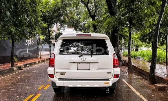 কেনা ব্যবহৃত Toyota Hilux White গাড়ী মধ্যে বেড়া মধ্যে Pabna কেনা ব্যবহৃত Toyota Hilux White গাড়ী মধ্যে বেড়া মধ্যে Pabna