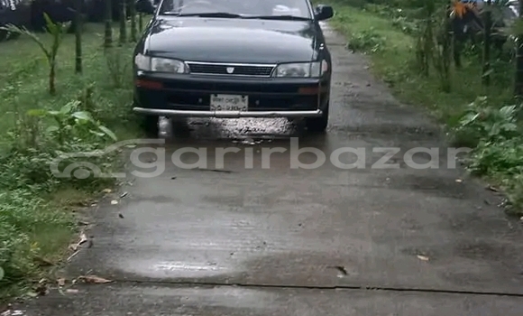 কেনা ব্যবহৃত Toyota Corolla Other গাড়ী মধ্যে ভোলা মধ্যে Bhola কেনা ব্যবহৃত Toyota Corolla Other গাড়ী মধ্যে ভোলা মধ্যে Bhola