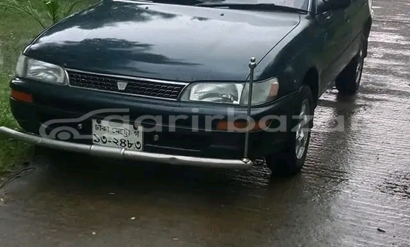 কেনা ব্যবহৃত Toyota Corolla Other গাড়ী মধ্যে ভোলা মধ্যে Bhola কেনা ব্যবহৃত Toyota Corolla Other গাড়ী মধ্যে ভোলা মধ্যে Bhola