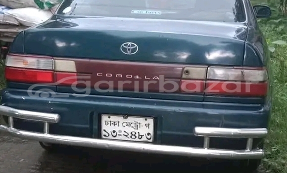 কেনা ব্যবহৃত Toyota Corolla Other গাড়ী মধ্যে ভোলা মধ্যে Bhola কেনা ব্যবহৃত Toyota Corolla Other গাড়ী মধ্যে ভোলা মধ্যে Bhola