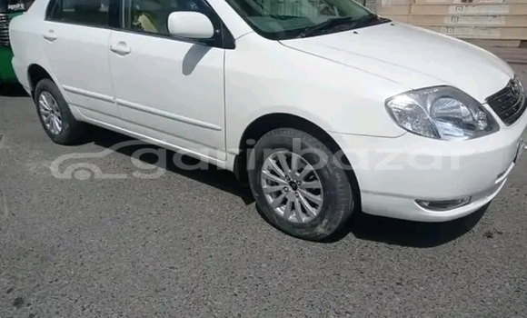 কেনা ব্যবহৃত Toyota Corolla White গাড়ী মধ্যে দামুড়হুদা মধ্যে Chuadanga কেনা ব্যবহৃত Toyota Corolla White গাড়ী মধ্যে দামুড়হুদা মধ্যে Chuadanga