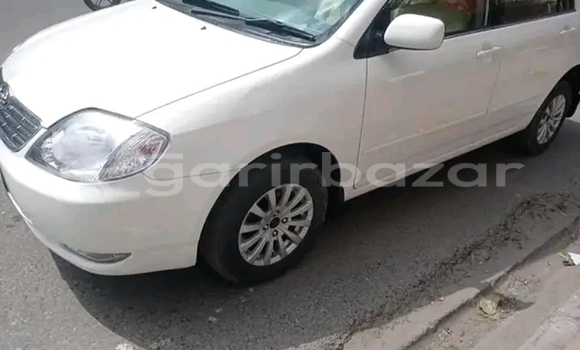 কেনা ব্যবহৃত Toyota Corolla White গাড়ী মধ্যে দামুড়হুদা মধ্যে Chuadanga কেনা ব্যবহৃত Toyota Corolla White গাড়ী মধ্যে দামুড়হুদা মধ্যে Chuadanga