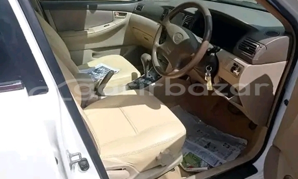 কেনা ব্যবহৃত Toyota Corolla White গাড়ী মধ্যে দামুড়হুদা মধ্যে Chuadanga কেনা ব্যবহৃত Toyota Corolla White গাড়ী মধ্যে দামুড়হুদা মধ্যে Chuadanga