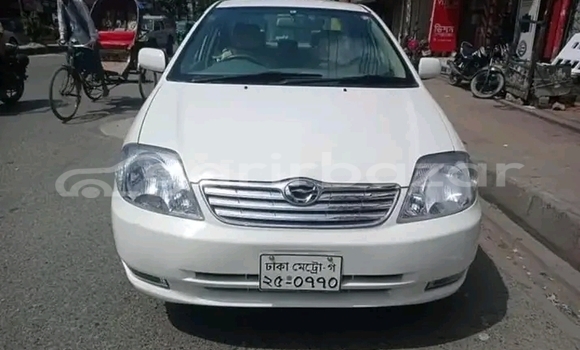 কেনা ব্যবহৃত Toyota Corolla White গাড়ী মধ্যে দামুড়হুদা মধ্যে Chuadanga কেনা ব্যবহৃত Toyota Corolla White গাড়ী মধ্যে দামুড়হুদা মধ্যে Chuadanga