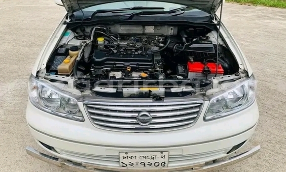 কেনা ব্যবহৃত Nissan Sunny White গাড়ী মধ্যে বুরহানউদ্দিন মধ্যে Bhola কেনা ব্যবহৃত Nissan Sunny White গাড়ী মধ্যে বুরহানউদ্দিন মধ্যে Bhola