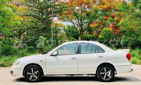কেনা ব্যবহৃত Nissan Sunny White গাড়ী মধ্যে বুরহানউদ্দিন মধ্যে Bhola কেনা ব্যবহৃত Nissan Sunny White গাড়ী মধ্যে বুরহানউদ্দিন মধ্যে Bhola