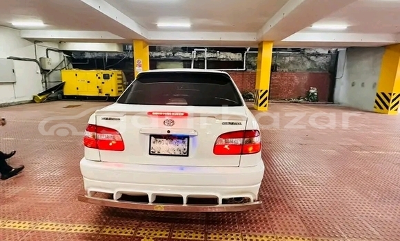 কেনা ব্যবহৃত BMW 2000 C/CS White গাড়ী মধ্যে বানিয়াচং মধ্যে Habiganj কেনা ব্যবহৃত BMW 2000 C/CS White গাড়ী মধ্যে বানিয়াচং মধ্যে Habiganj