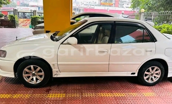 কেনা ব্যবহৃত BMW 2000 C/CS White গাড়ী মধ্যে বানিয়াচং মধ্যে Habiganj কেনা ব্যবহৃত BMW 2000 C/CS White গাড়ী মধ্যে বানিয়াচং মধ্যে Habiganj