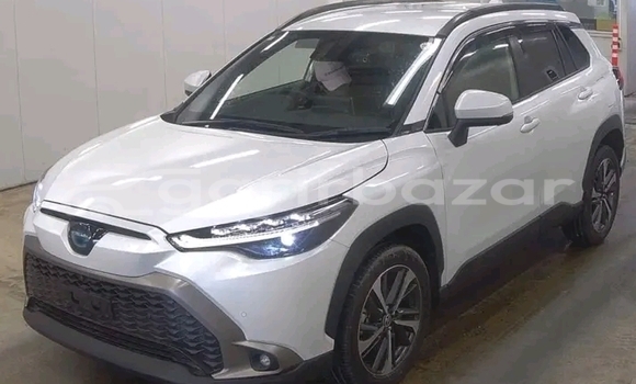 কেনা ব্যবহৃত Toyota Corolla White গাড়ী মধ্যে চুয়াডাঙ্গা মধ্যে Chuadanga কেনা ব্যবহৃত Toyota Corolla White গাড়ী মধ্যে চুয়াডাঙ্গা মধ্যে Chuadanga