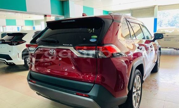 Buy Used 2017 Toyota RAV4 in Damurhuda, Chuadanga Buy Used 2017 Toyota RAV4 in Damurhuda, Chuadanga