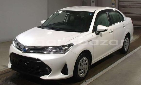 কেনা ব্যবহৃত Toyota axio x White গাড়ী মধ্যে ঢাকা মধ্যে Dhaka কেনা ব্যবহৃত Toyota axio x White গাড়ী মধ্যে ঢাকা মধ্যে Dhaka