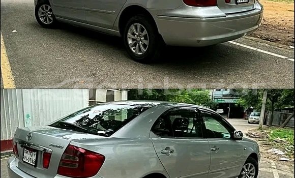 Buy Used Toyota Premio in Bagerhat, Khulna