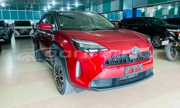 Buy Used Toyota Yaris in Bajitpur, Kishorganj Buy Used Toyota Yaris in Bajitpur, Kishorganj