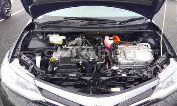 কেনা ব্যবহৃত Toyota Fielder WXB Black গাড়ী মধ্যে ঢাকা মধ্যে Dhaka কেনা ব্যবহৃত Toyota Fielder WXB Black গাড়ী মধ্যে ঢাকা মধ্যে Dhaka