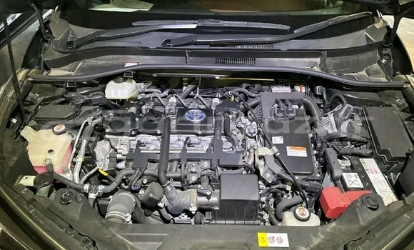 Buy Used Toyota CH-R in Bhandaria, Pirojpur Buy Used Toyota CH-R in Bhandaria, Pirojpur