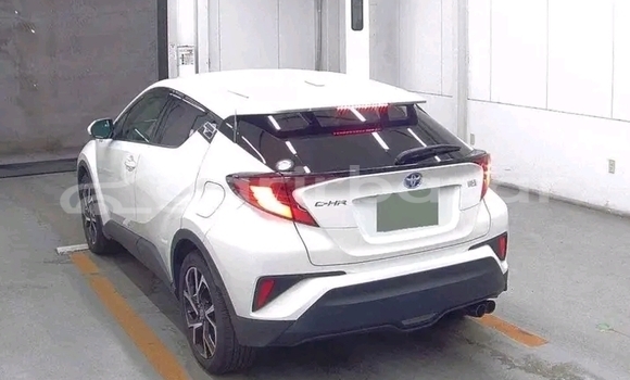 Buy Used Toyota C-HR in Bajitpur, Kishorganj Buy Used Toyota C-HR in Bajitpur, Kishorganj