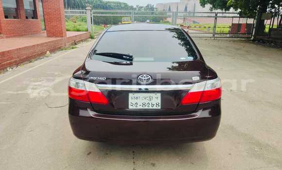 Buy Used 2022 Toyota F premio in Bagerhat, Khulna Buy Used 2022 Toyota F premio in Bagerhat, Khulna