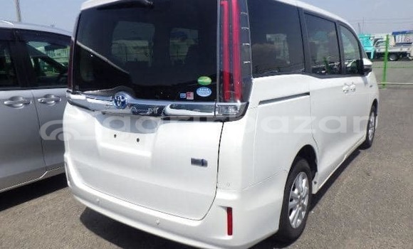 কেনা ব্যবহৃত Toyota Noah White গাড়ী মধ্যে ঢাকা মধ্যে Dhaka কেনা ব্যবহৃত Toyota Noah White গাড়ী মধ্যে ঢাকা মধ্যে Dhaka