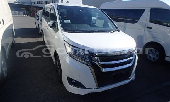 কেনা ব্যবহৃত Toyota Esquire White গাড়ী মধ্যে বাগেরহাট মধ্যে Khulna কেনা ব্যবহৃত Toyota Esquire White গাড়ী মধ্যে বাগেরহাট মধ্যে Khulna