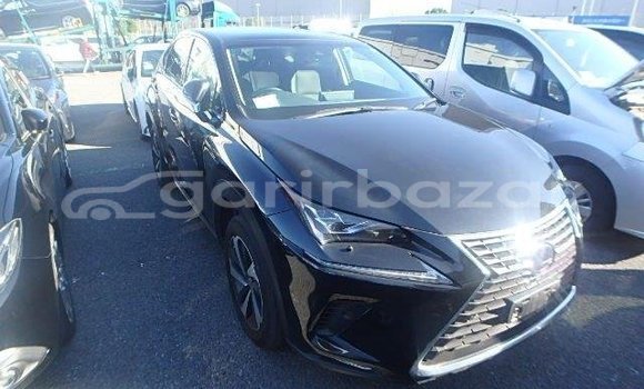 কেনা ব্যবহৃত Lexus NX Black গাড়ী মধ্যে ঢাকা মধ্যে Dhaka