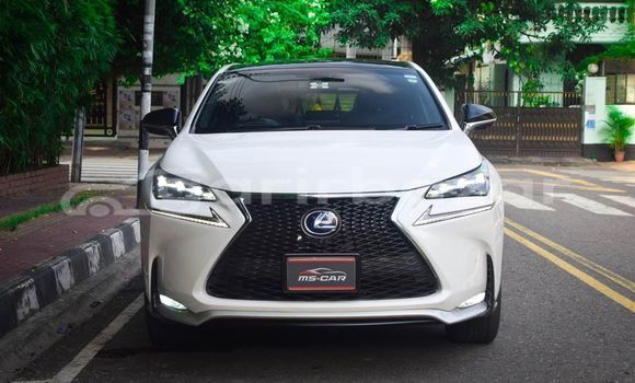 Buy Used 2022 Lexus NX in Badarganj, Rangpur Buy Used 2022 Lexus NX in Badarganj, Rangpur