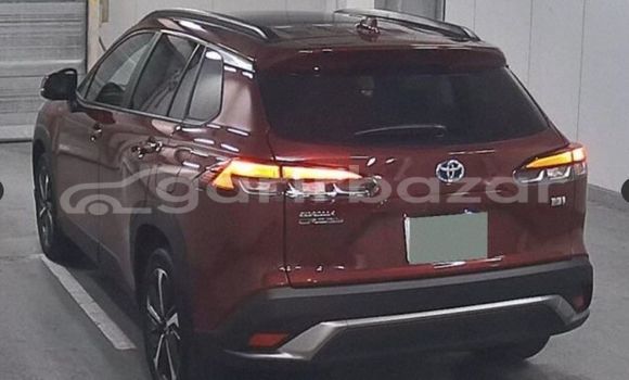 কেনা ব্যবহৃত Toyota corolla Red গাড়ী মধ্যে আলমডাঙ্গা মধ্যে Chuadanga কেনা ব্যবহৃত Toyota corolla Red গাড়ী মধ্যে আলমডাঙ্গা মধ্যে Chuadanga