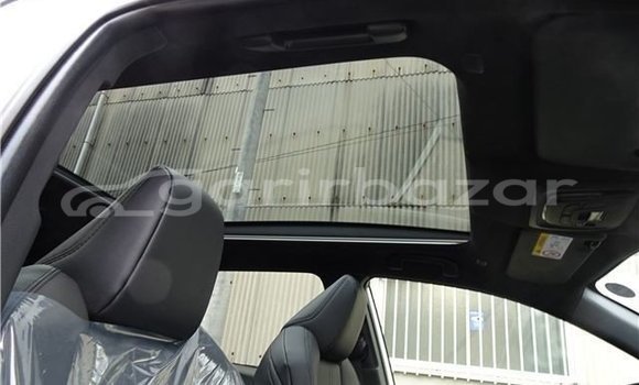 কেনা ব্যবহৃত Toyota corolla Red গাড়ী মধ্যে আলমডাঙ্গা মধ্যে Chuadanga কেনা ব্যবহৃত Toyota corolla Red গাড়ী মধ্যে আলমডাঙ্গা মধ্যে Chuadanga