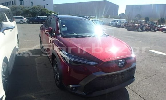 কেনা ব্যবহৃত Toyota corolla Red গাড়ী মধ্যে আলমডাঙ্গা মধ্যে Chuadanga কেনা ব্যবহৃত Toyota corolla Red গাড়ী মধ্যে আলমডাঙ্গা মধ্যে Chuadanga