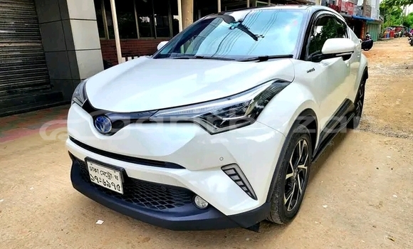 কেনা ব্যবহৃত Toyota CHR White গাড়ী মধ্যে বেগমগঞ্জ মধ্যে Noakhali কেনা ব্যবহৃত Toyota CHR White গাড়ী মধ্যে বেগমগঞ্জ মধ্যে Noakhali
