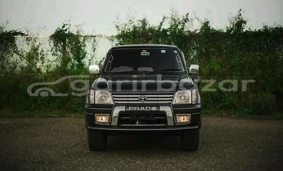 কেনা ব্যবহৃত Toyota Land Cruiser Black গাড়ী মধ্যে ভাঙ্গা মধ্যে Faridpur কেনা ব্যবহৃত Toyota Land Cruiser Black গাড়ী মধ্যে ভাঙ্গা মধ্যে Faridpur