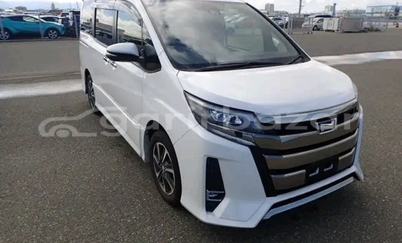 কেনা ব্যবহৃত Toyota Noah White গাড়ী মধ্যে ভেড়ামারা মধ্যে Kushtiya কেনা ব্যবহৃত Toyota Noah White গাড়ী মধ্যে ভেড়ামারা মধ্যে Kushtiya