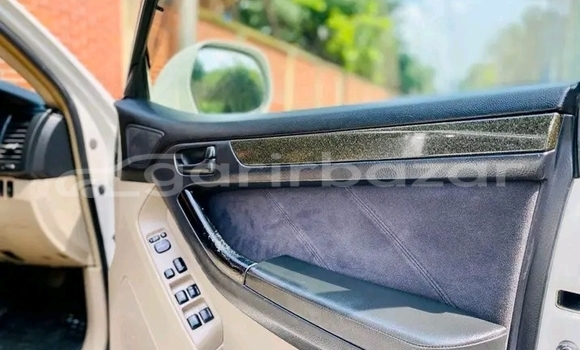 কেনা ব্যবহৃত Toyota Hilux White গাড়ী মধ্যে ভেড়ামারা মধ্যে Kushtiya কেনা ব্যবহৃত Toyota Hilux White গাড়ী মধ্যে ভেড়ামারা মধ্যে Kushtiya