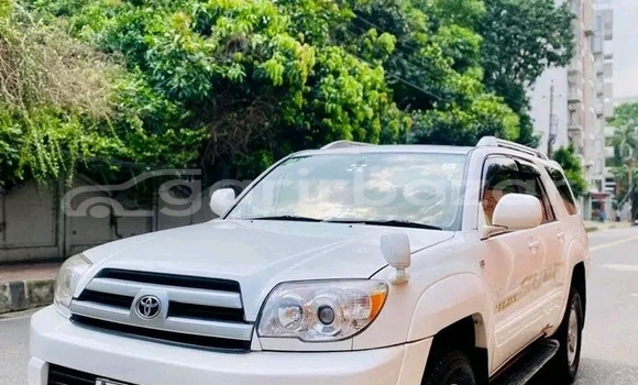 কেনা ব্যবহৃত Toyota Hilux White গাড়ী মধ্যে ভেড়ামারা মধ্যে Kushtiya কেনা ব্যবহৃত Toyota Hilux White গাড়ী মধ্যে ভেড়ামারা মধ্যে Kushtiya