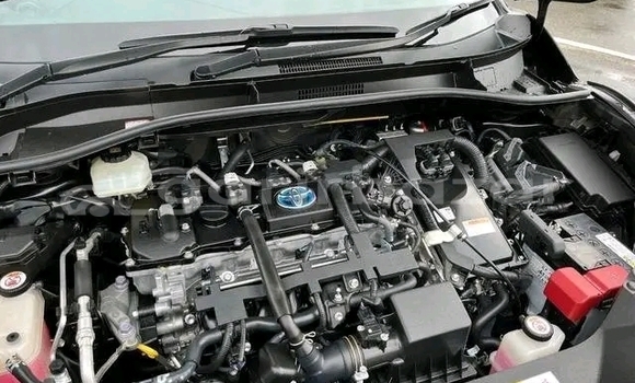 কেনা ব্যবহৃত Toyota CHR Black গাড়ী মধ্যে বান্দরবান মধ্যে Bandarban কেনা ব্যবহৃত Toyota CHR Black গাড়ী মধ্যে বান্দরবান মধ্যে Bandarban