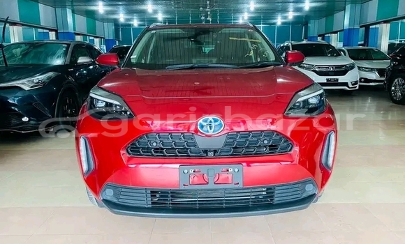 কেনা ব্যবহৃত Toyota Yaris Red গাড়ী মধ্যে বানিয়াচং মধ্যে Habiganj কেনা ব্যবহৃত Toyota Yaris Red গাড়ী মধ্যে বানিয়াচং মধ্যে Habiganj